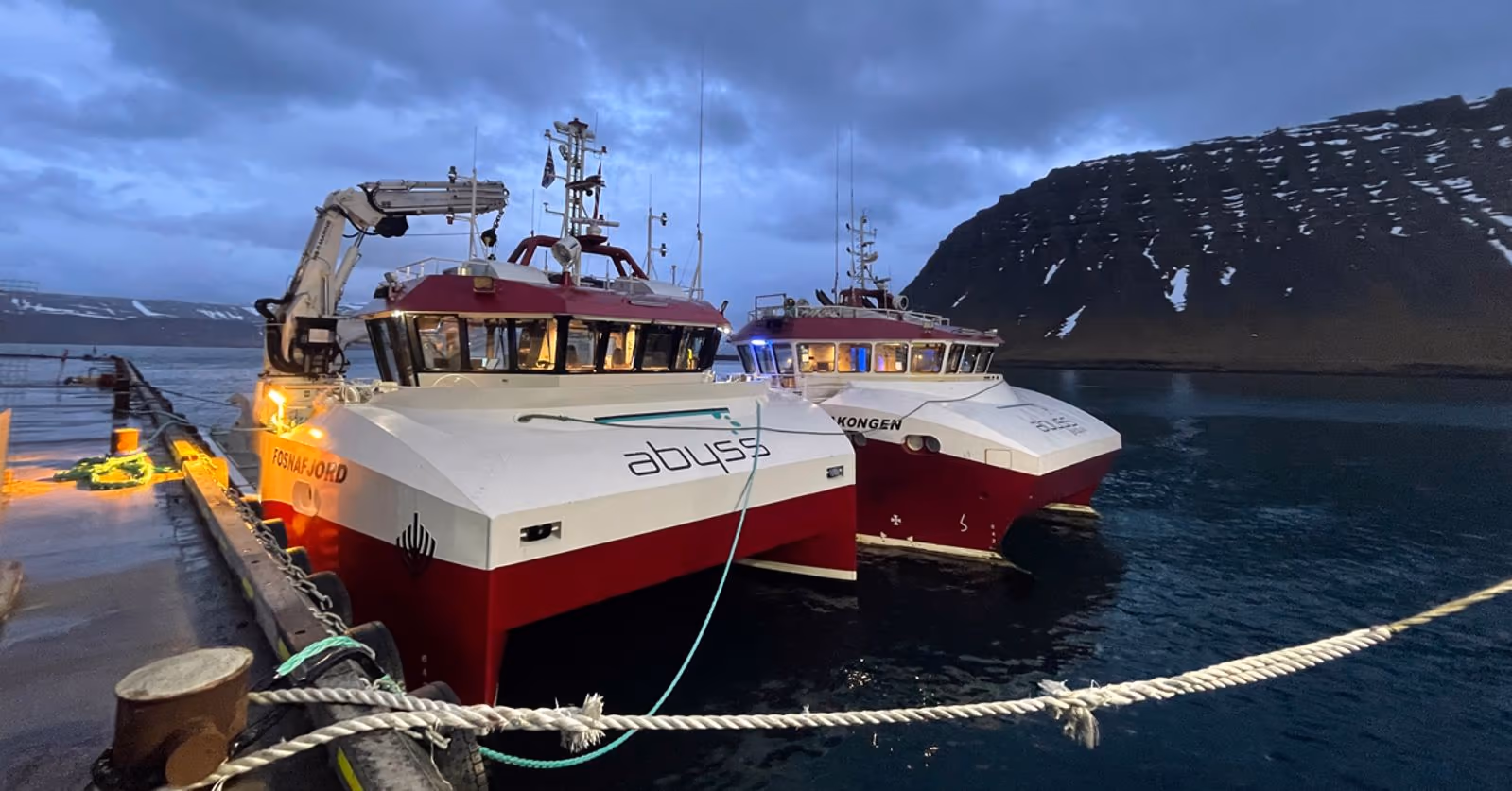 Fosnafjord og Fosnakongen ved kai på Island