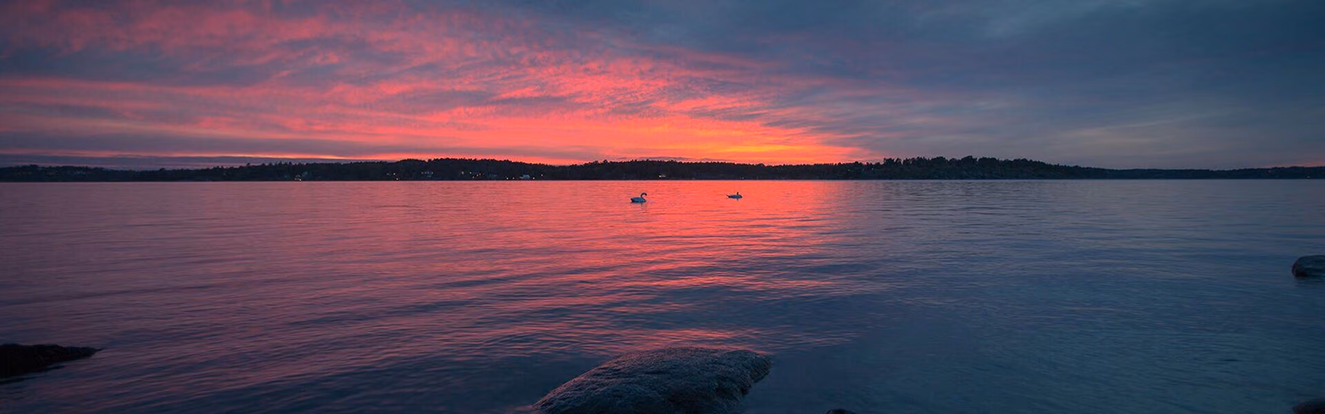 Sunset over a lake with 2 swans on it