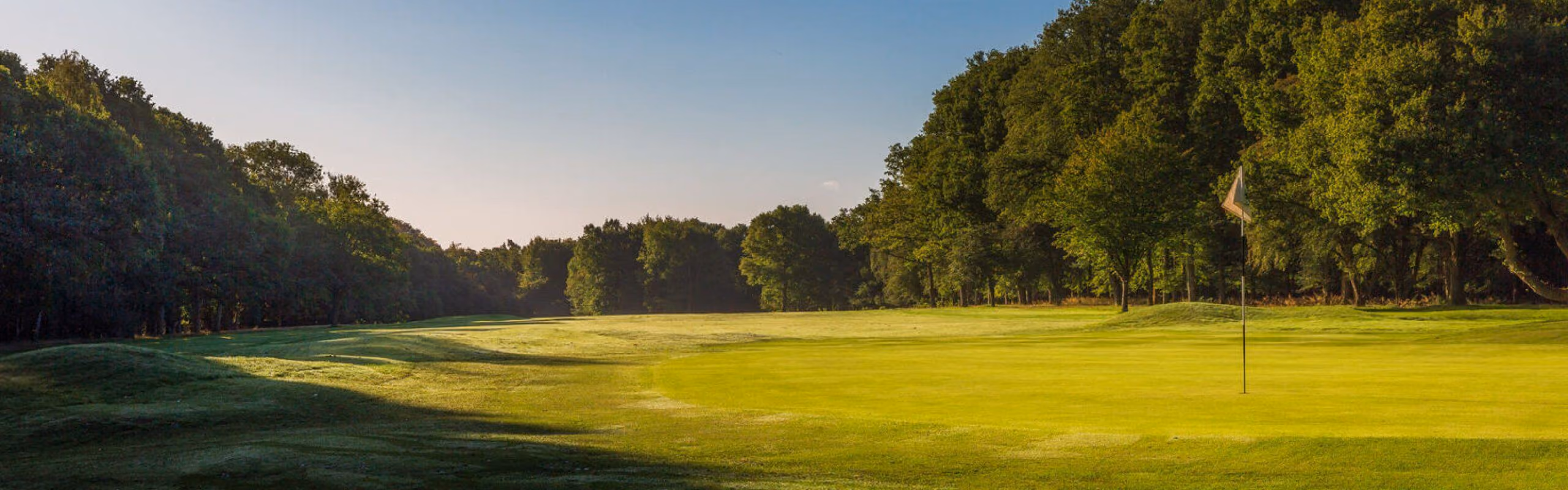 A golf course