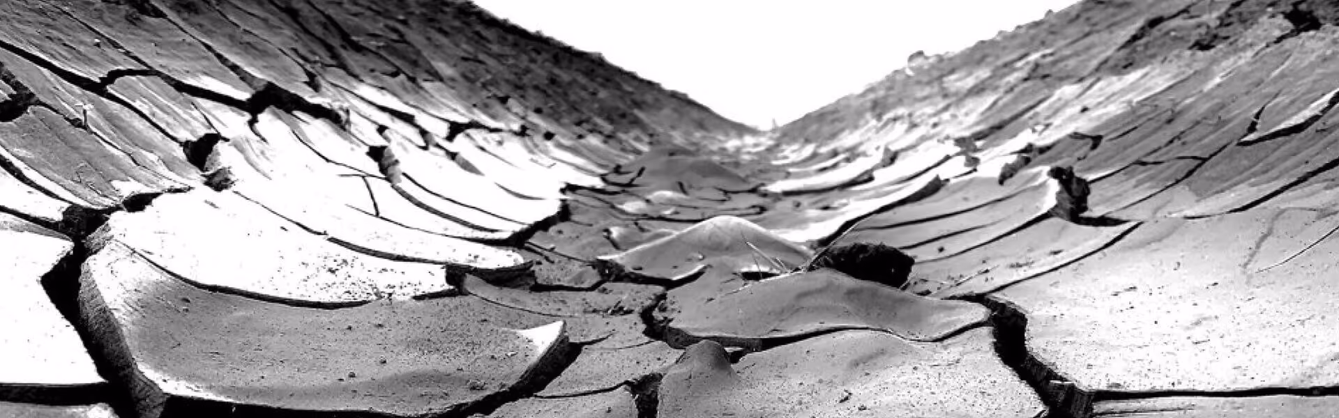 Black and white cracked mud
