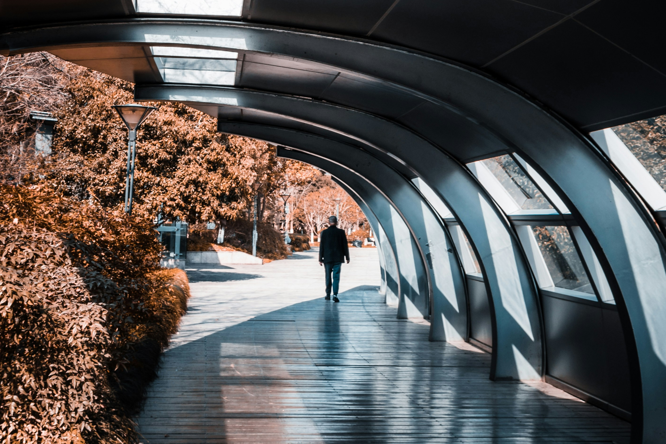 Man walking under archway next to a tree