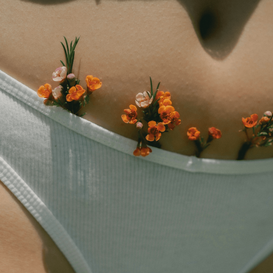 Small flowers arragned along a womans under garments