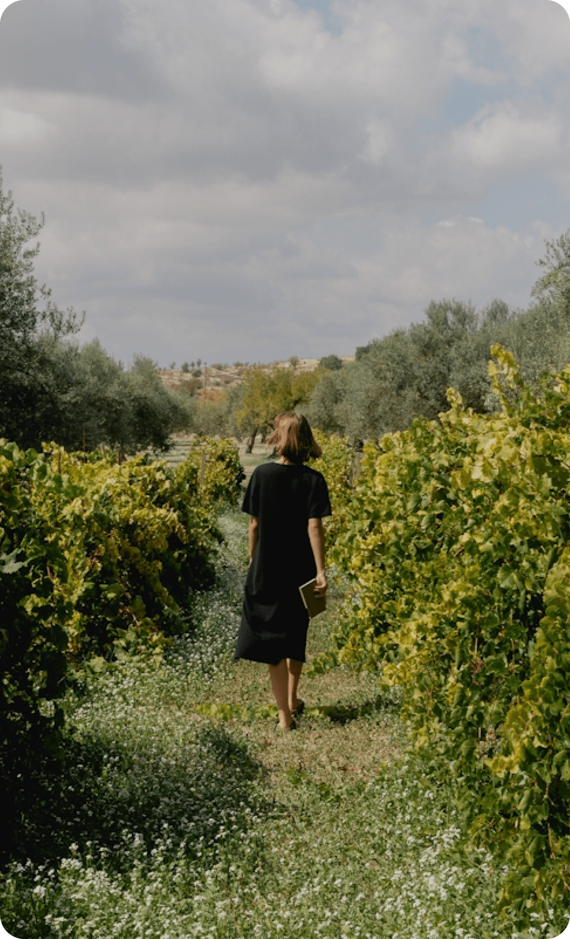 Person walking along a garden path