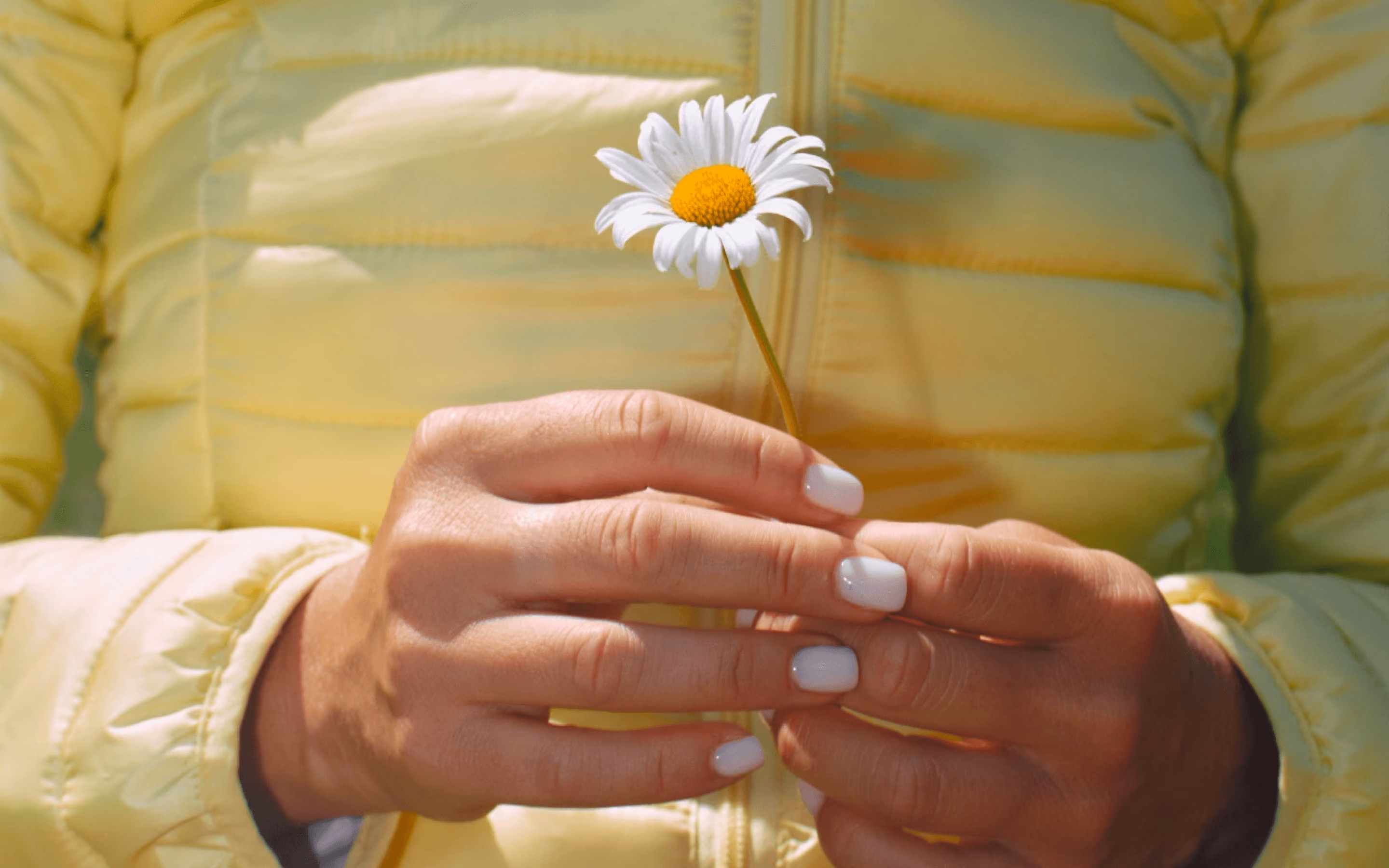 Hands of a woman holding a flower
