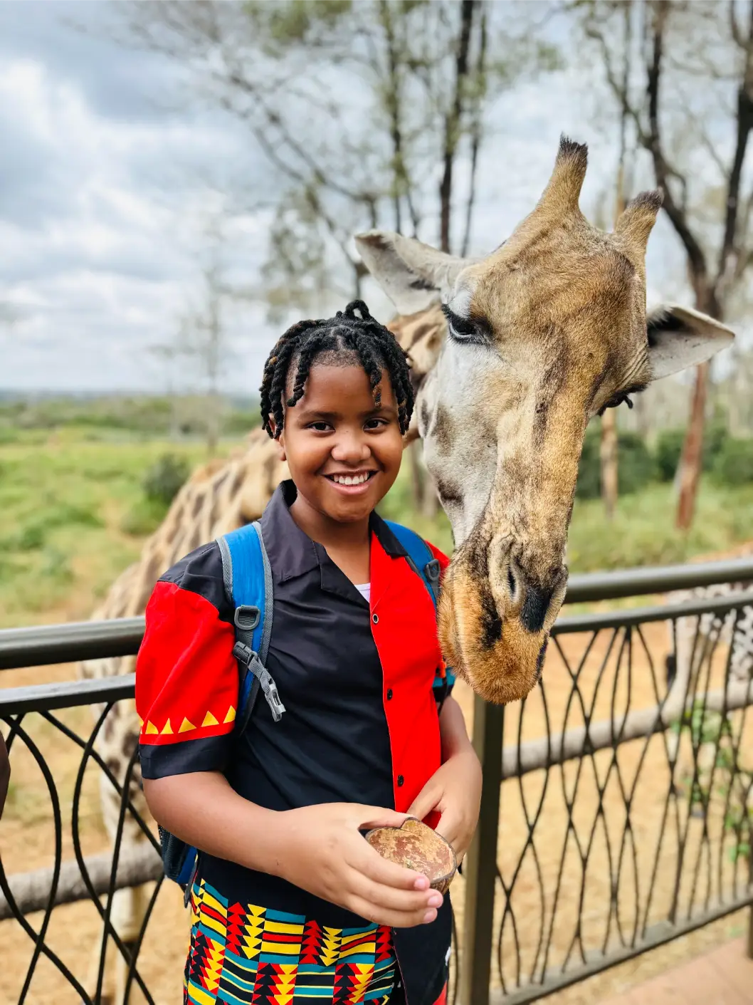 Smiling child with braided hair feeding a giraffe on fenced walkway in a green outdoor setting.