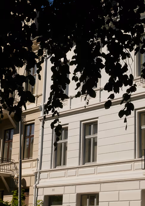 Façade d'un bâtiment blanc avec fenêtres encadrées et branches feuillues en silhouette.