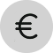 Icône circulaire grise avec le symbole euro noir au centre.