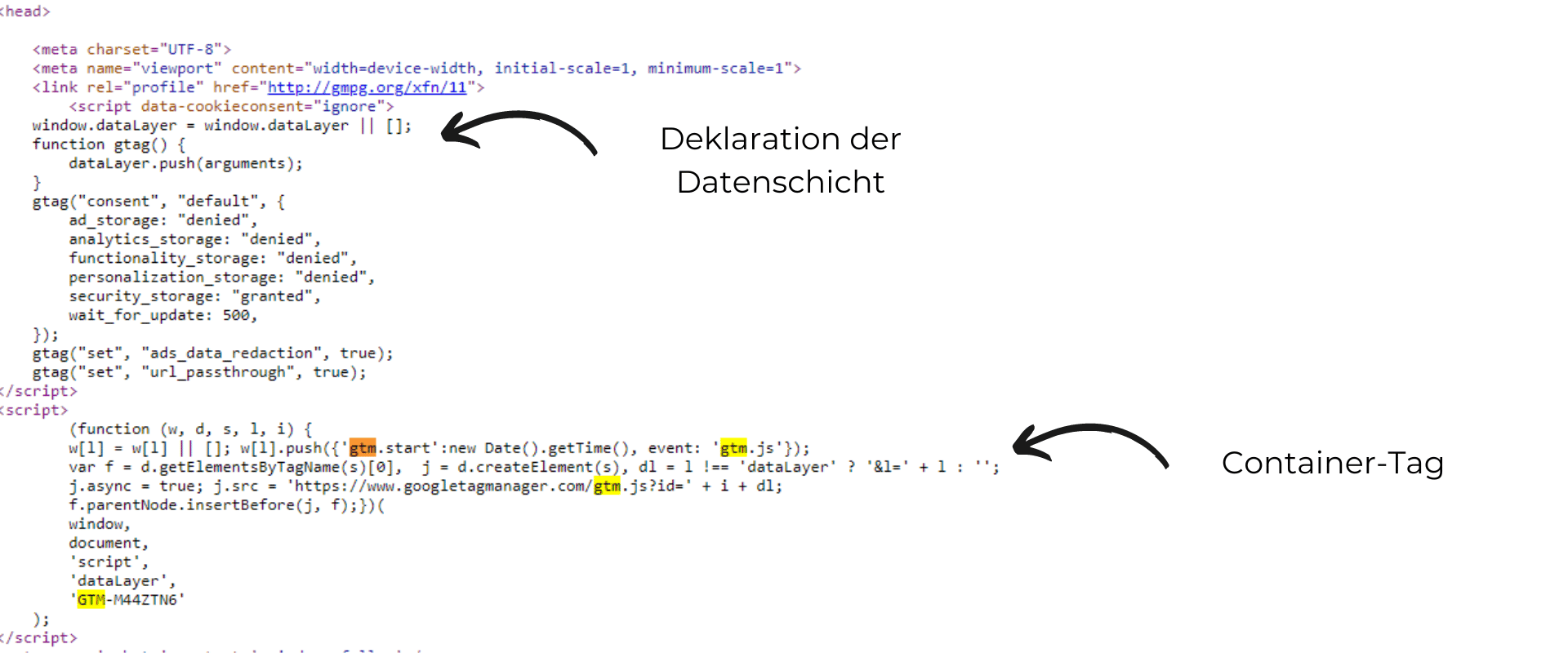Google Tag Manager Container-Tag