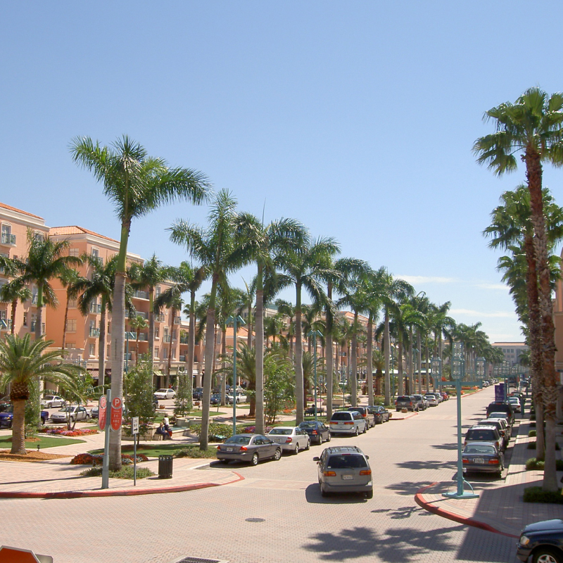 Tree-lined street in Boca Raton, Florida, home of AGB Insurance's main office