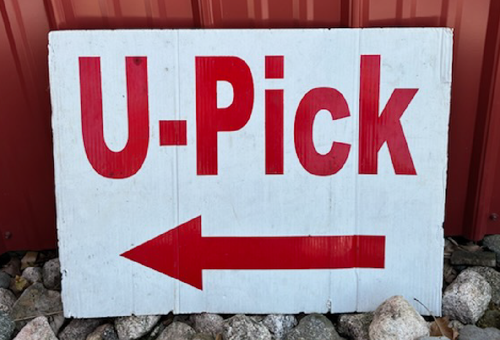 White sign with red text 'U-Pick' and a left-pointing arrow on rocks by a red wall.