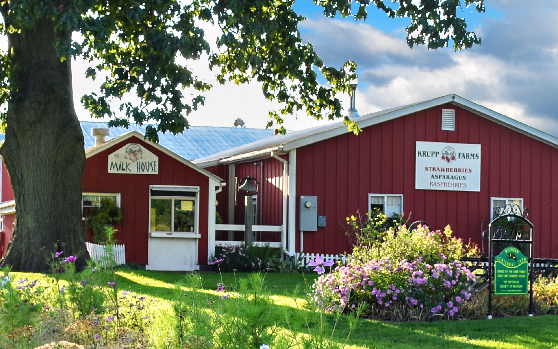 Home Banner