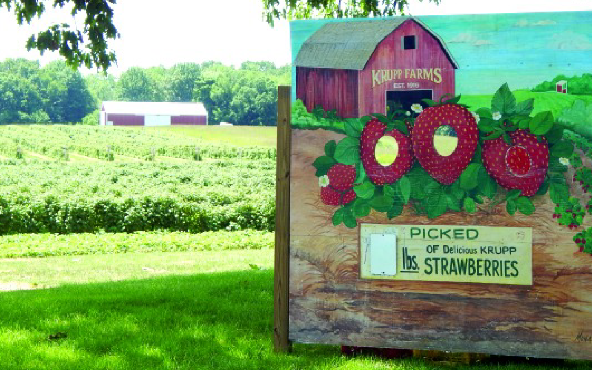 Home Banner