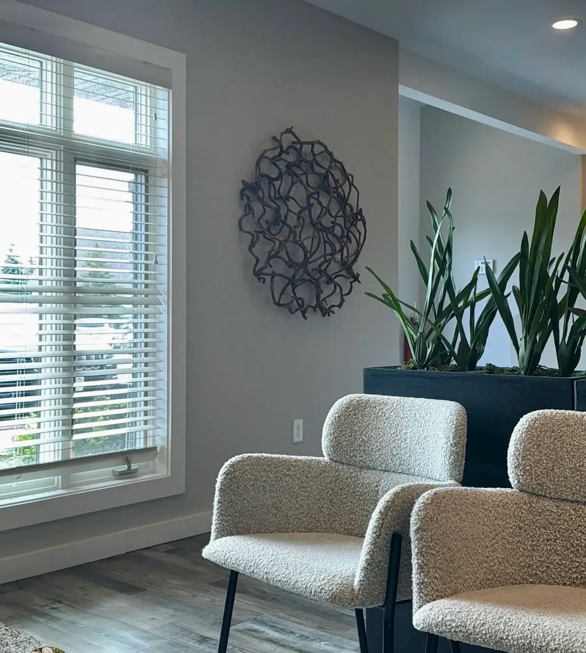 Modern interior seating area with two beige boucle armchairs on black legs, a large window with white blinds, a black planter box with tall snake plants, and abstract black metal wall art on a gray wall.