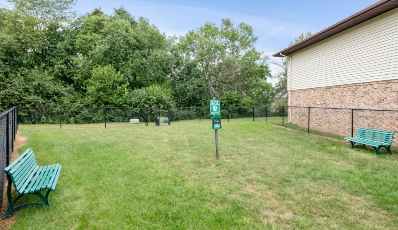 Green grass area