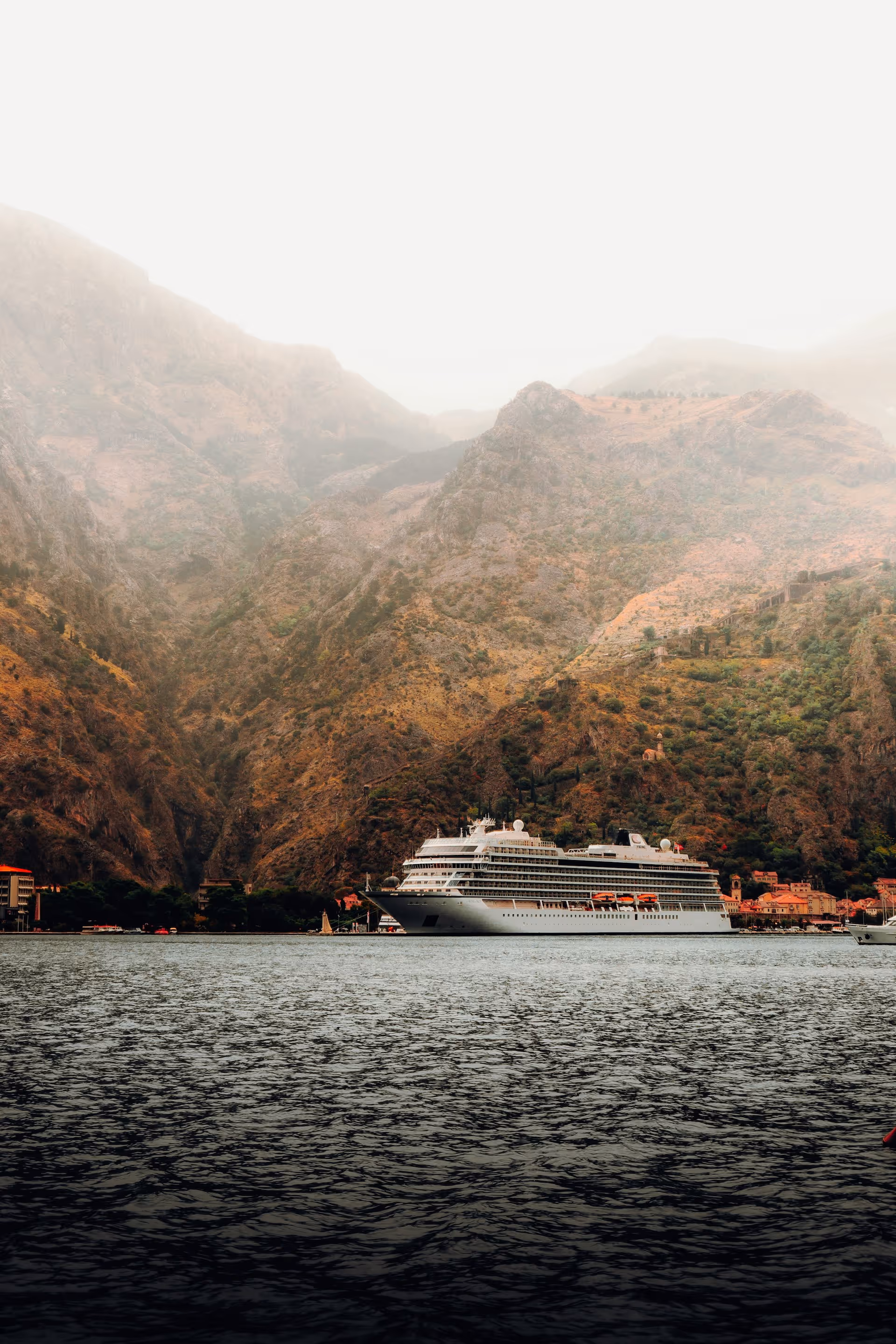 Passenger cruise ship at anchor below misty, forested mountains