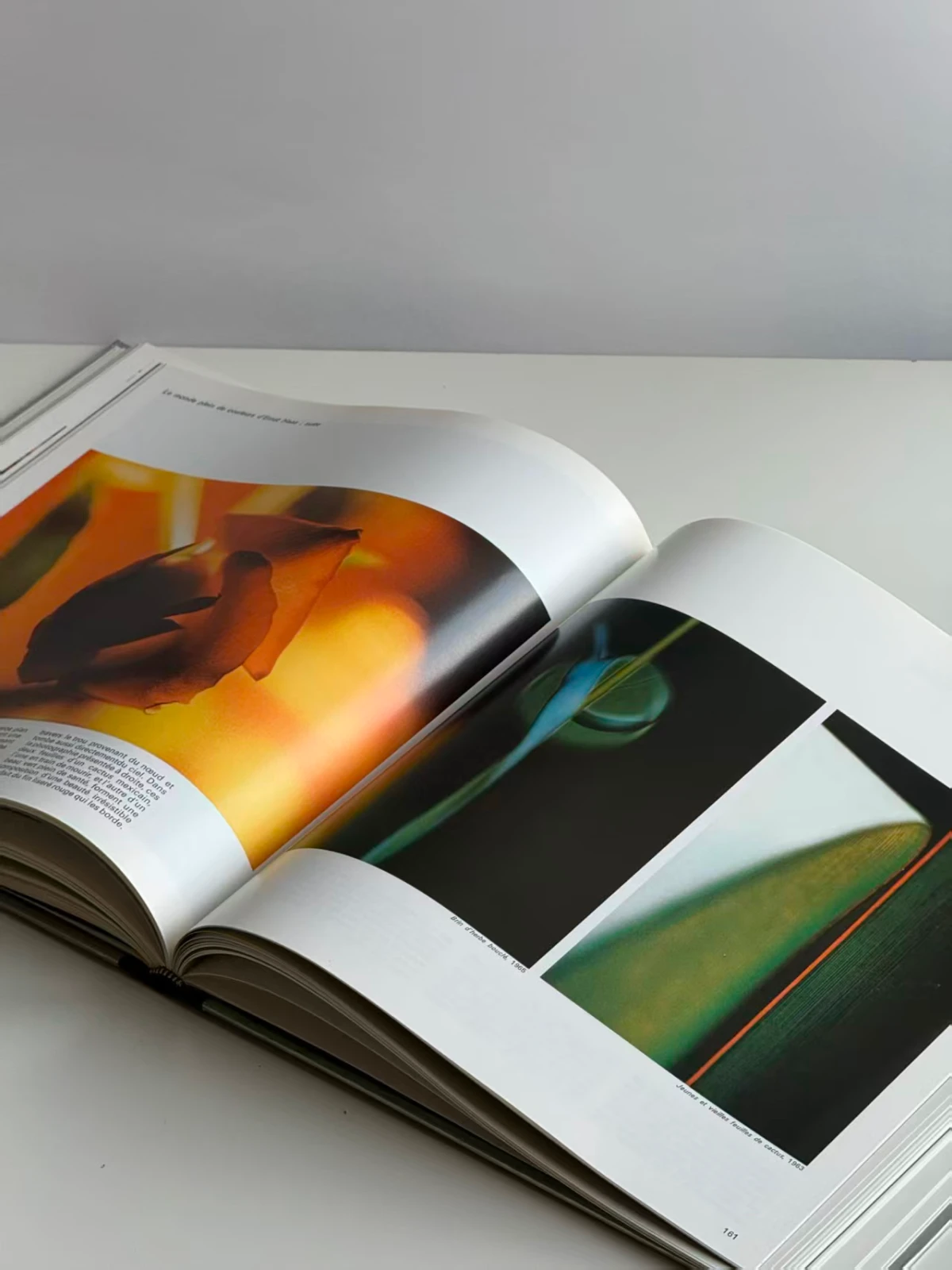 La Couleur, Photography Book