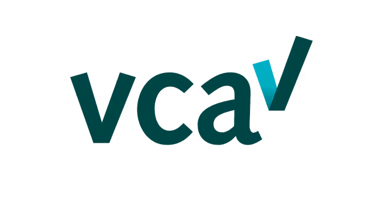 Pictogram voor VCA .
