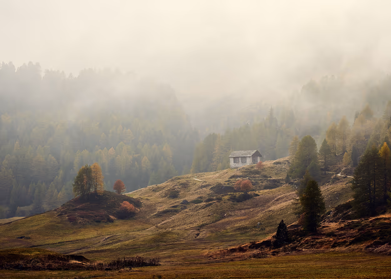 Small cabin on a misty hillside surrounded by autumn trees and grassy terrain.