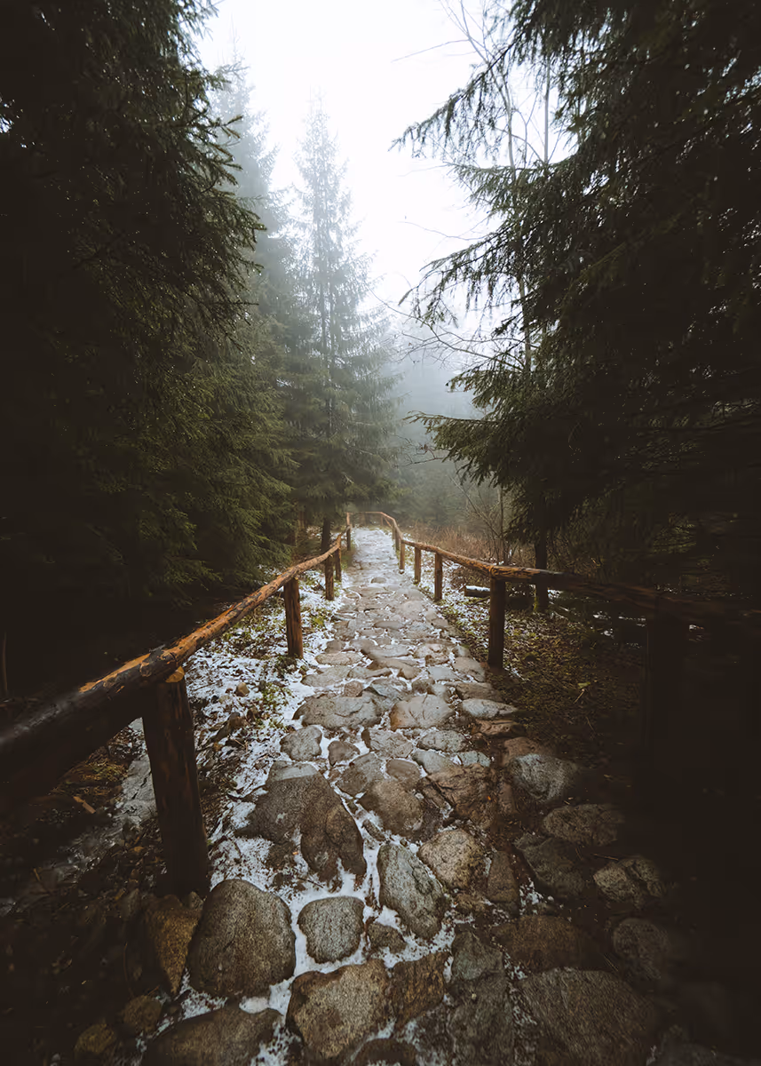 Stone path with wooden railings leading through foggy forest with evergreen trees on both sides.