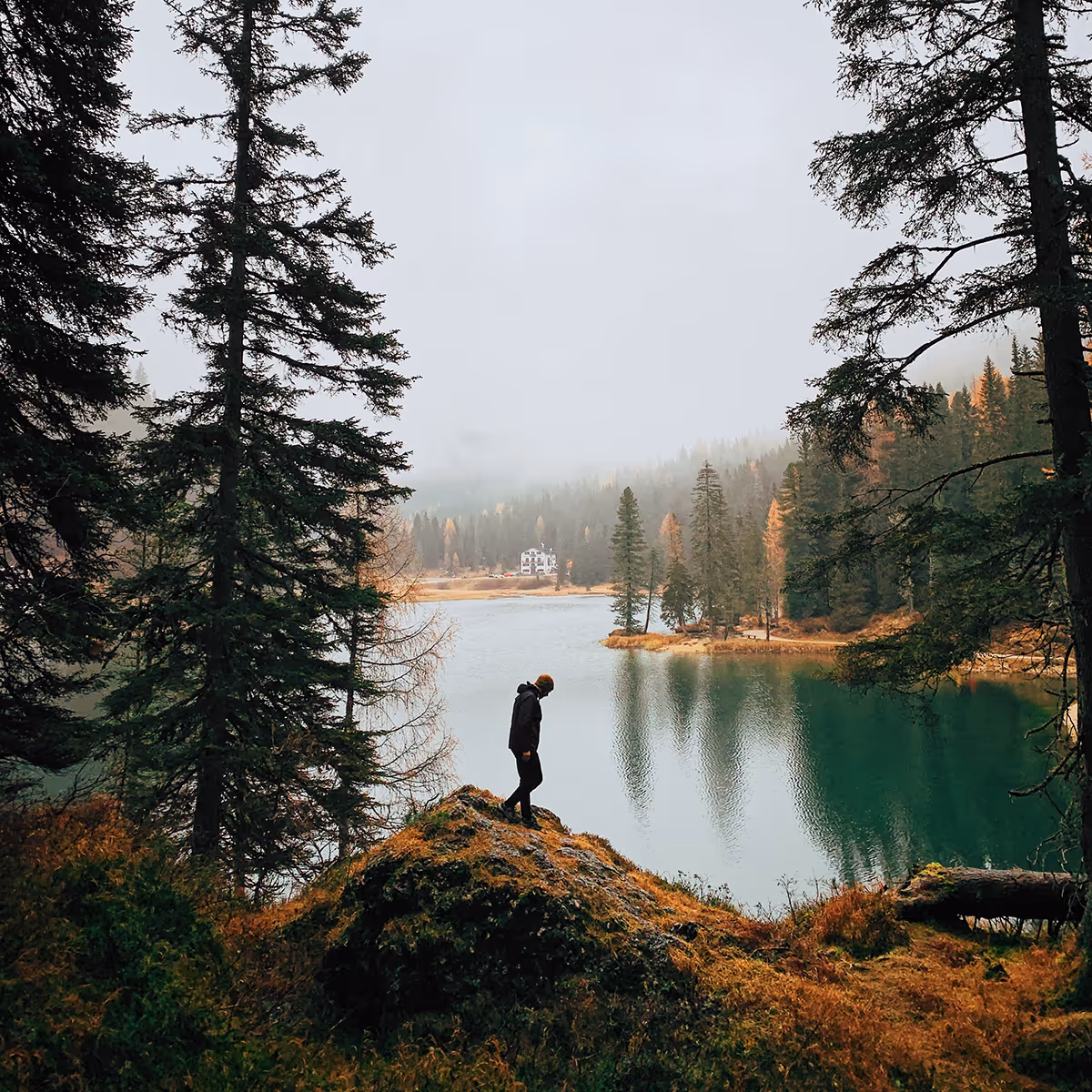 Individual Therapy Plano TX | James Bass Counseling