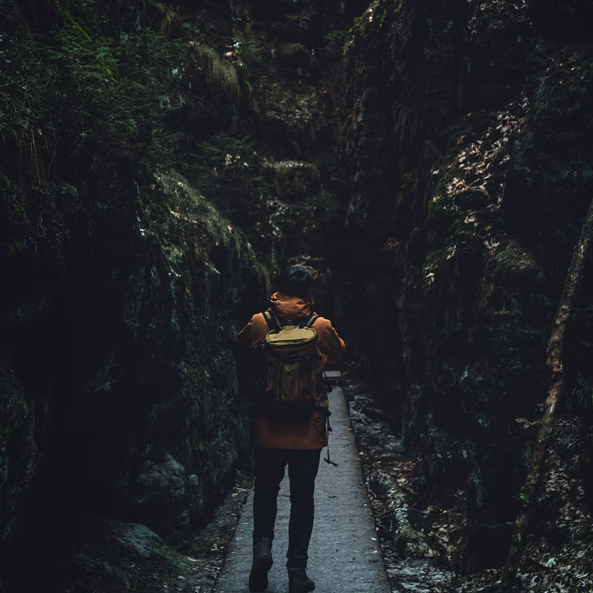Grief Therapy Plano TX | James Bass Counseling