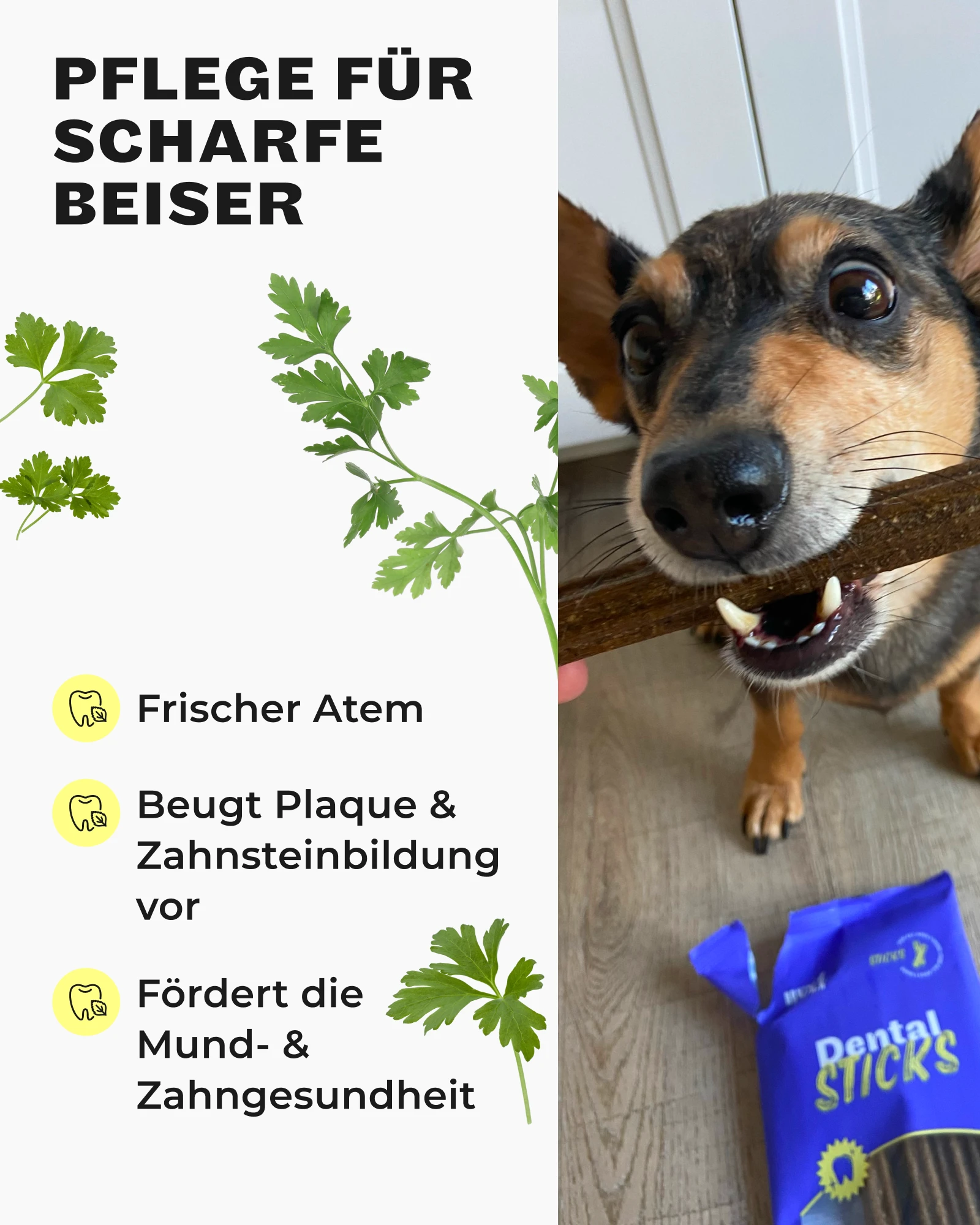 Amazon Produktbild HEYHOLY Dental Sticks für Hunde mit Hinweis auf frischen Atem