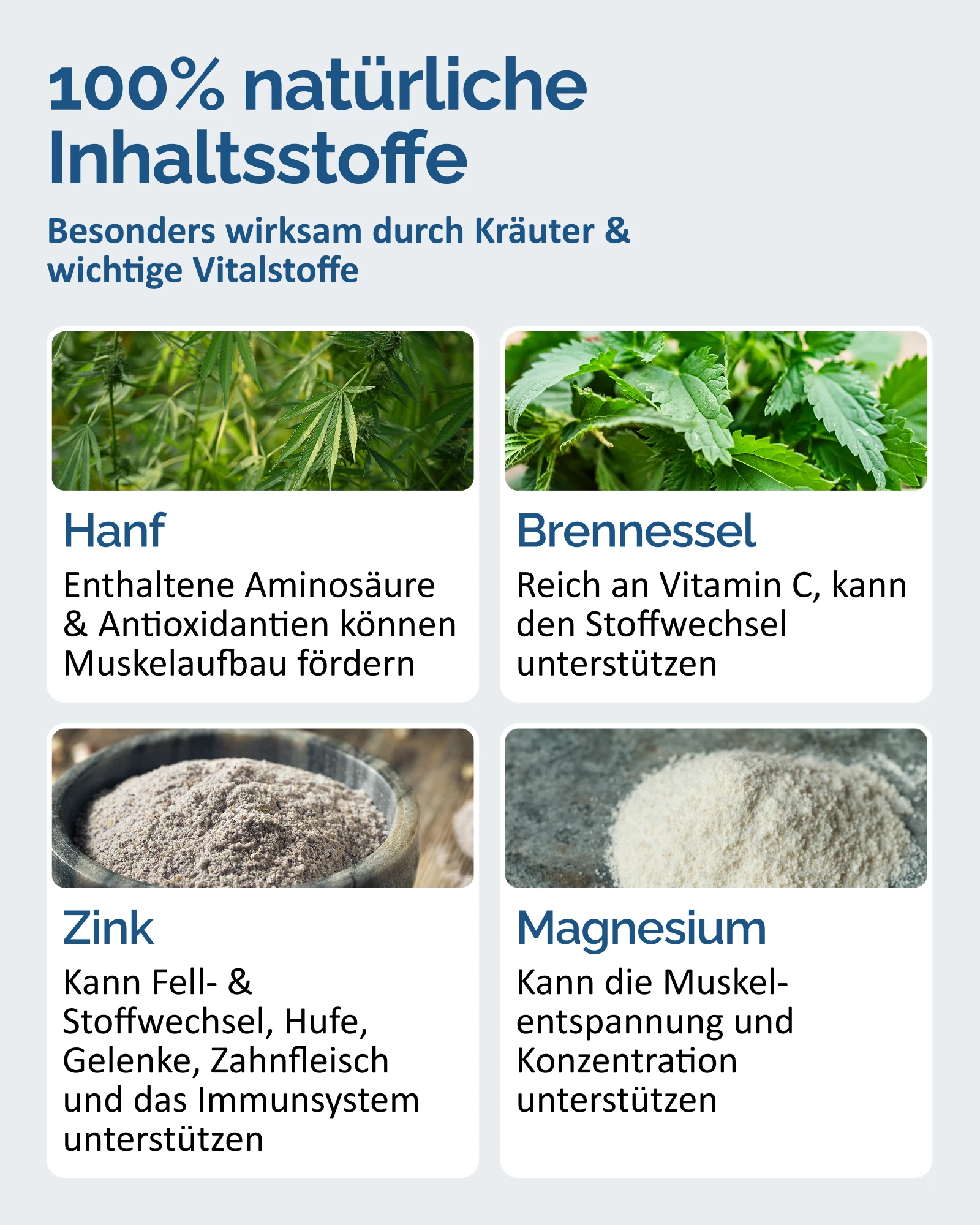 Amazon Produktbild The Horse Vitality Company Stoffwechsel-Booster mit Übersicht der Inhaltsstoffe