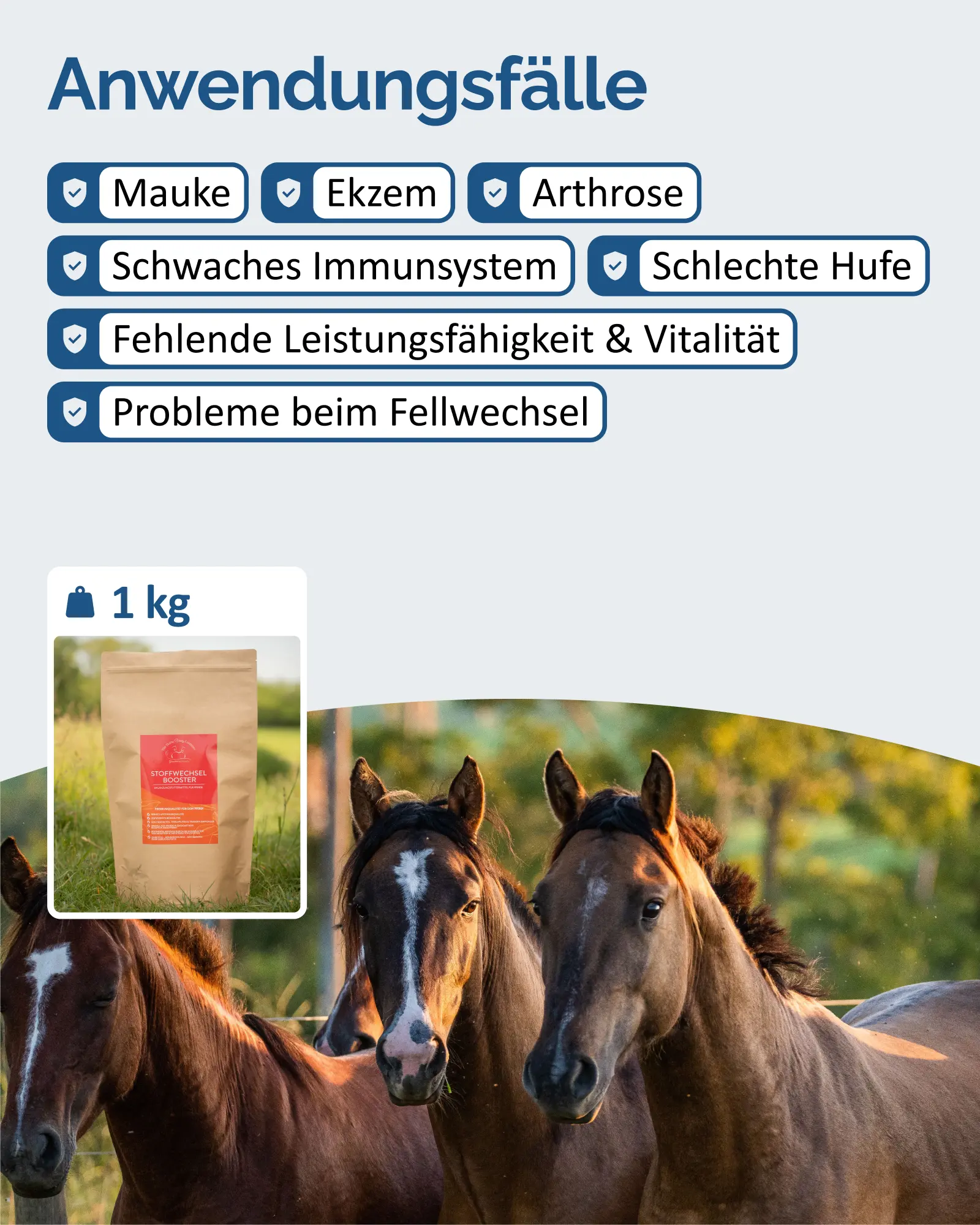 Amazon Produktbild The Horse Vitality Company Stoffwechsel-Booster mit Übersicht der Anwendungsfälle