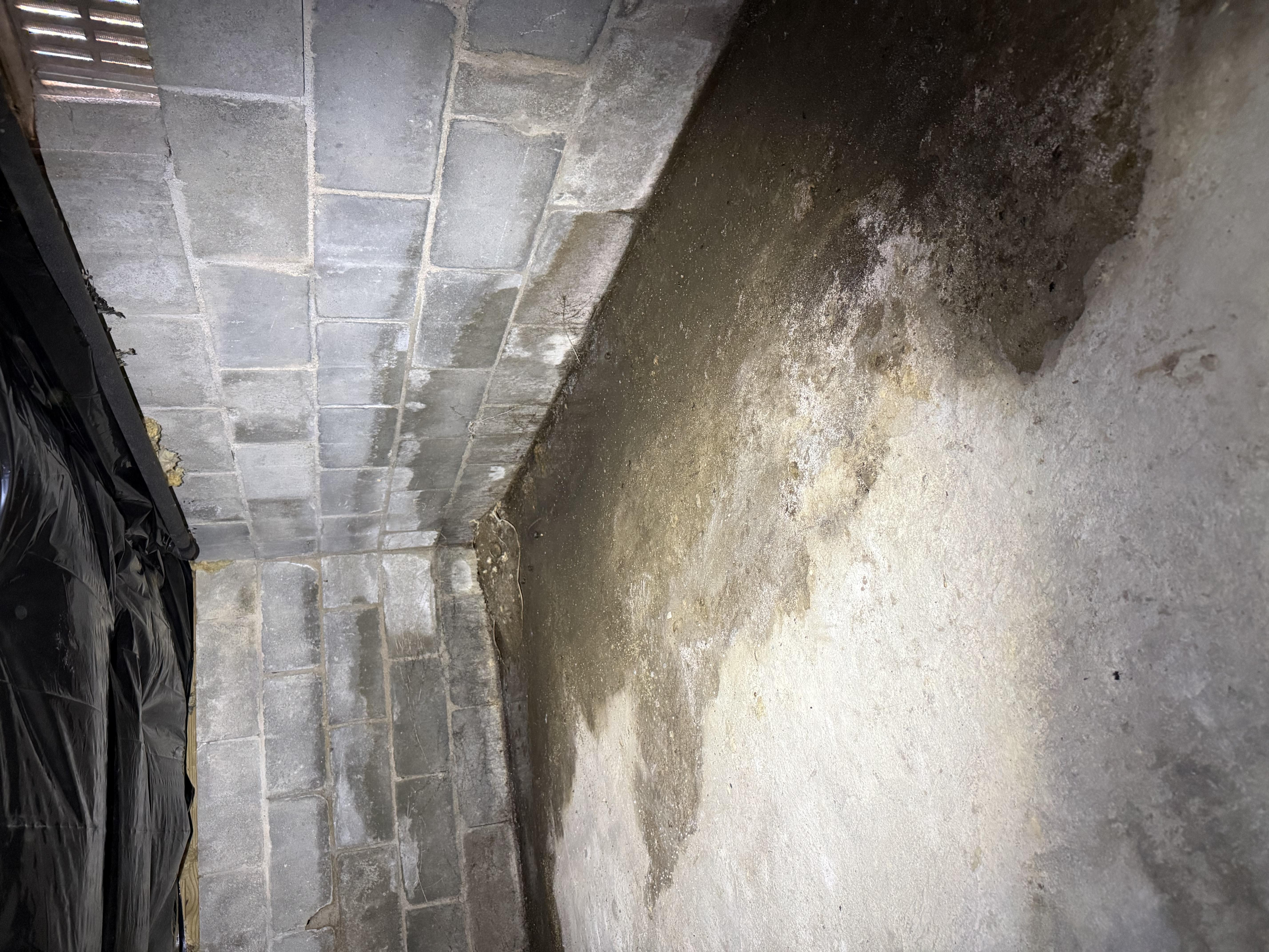 Tyvek-suited crew treating a humid crawl space