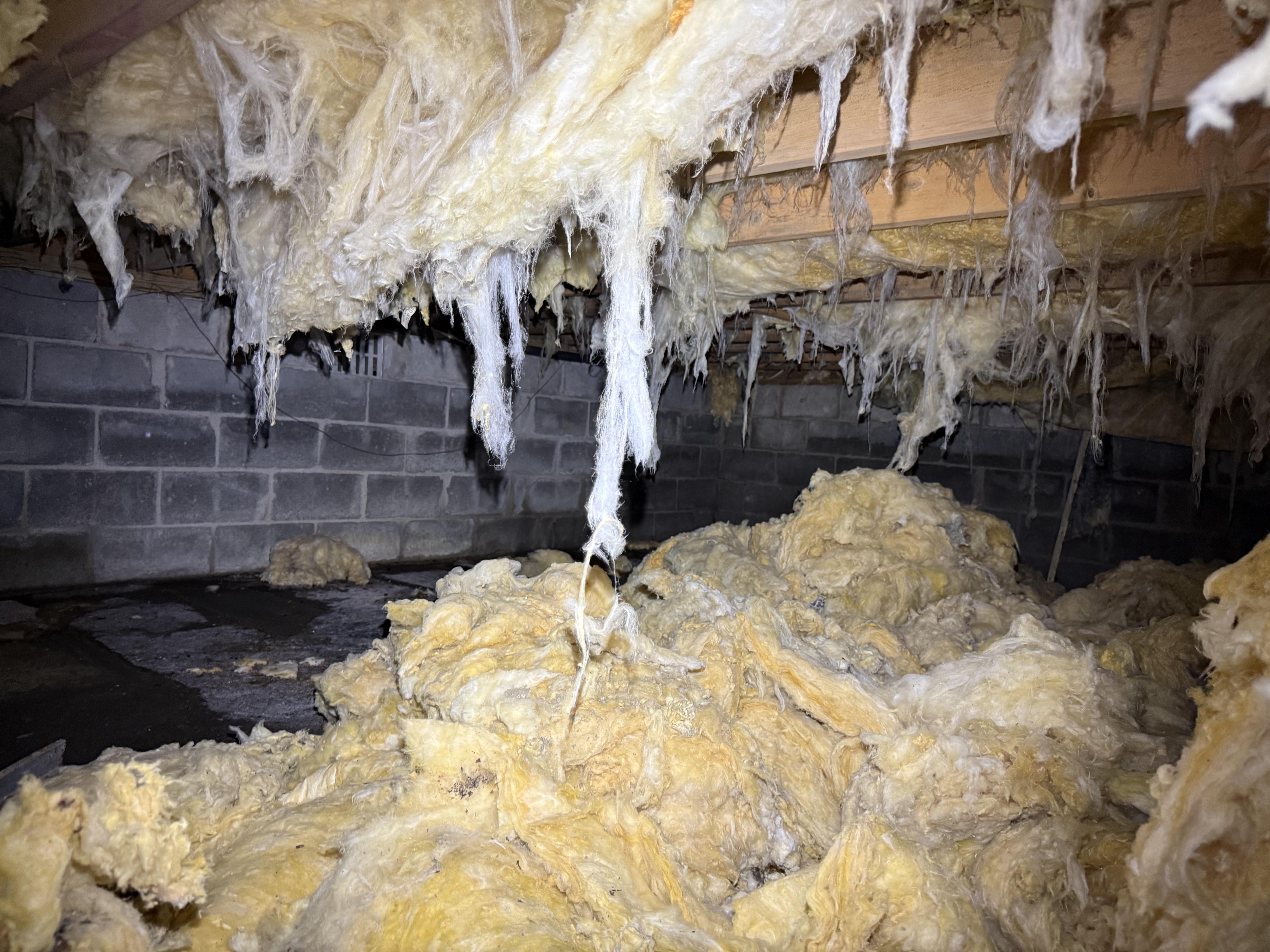 Tyvek-suited crew remediating a damp crawl space