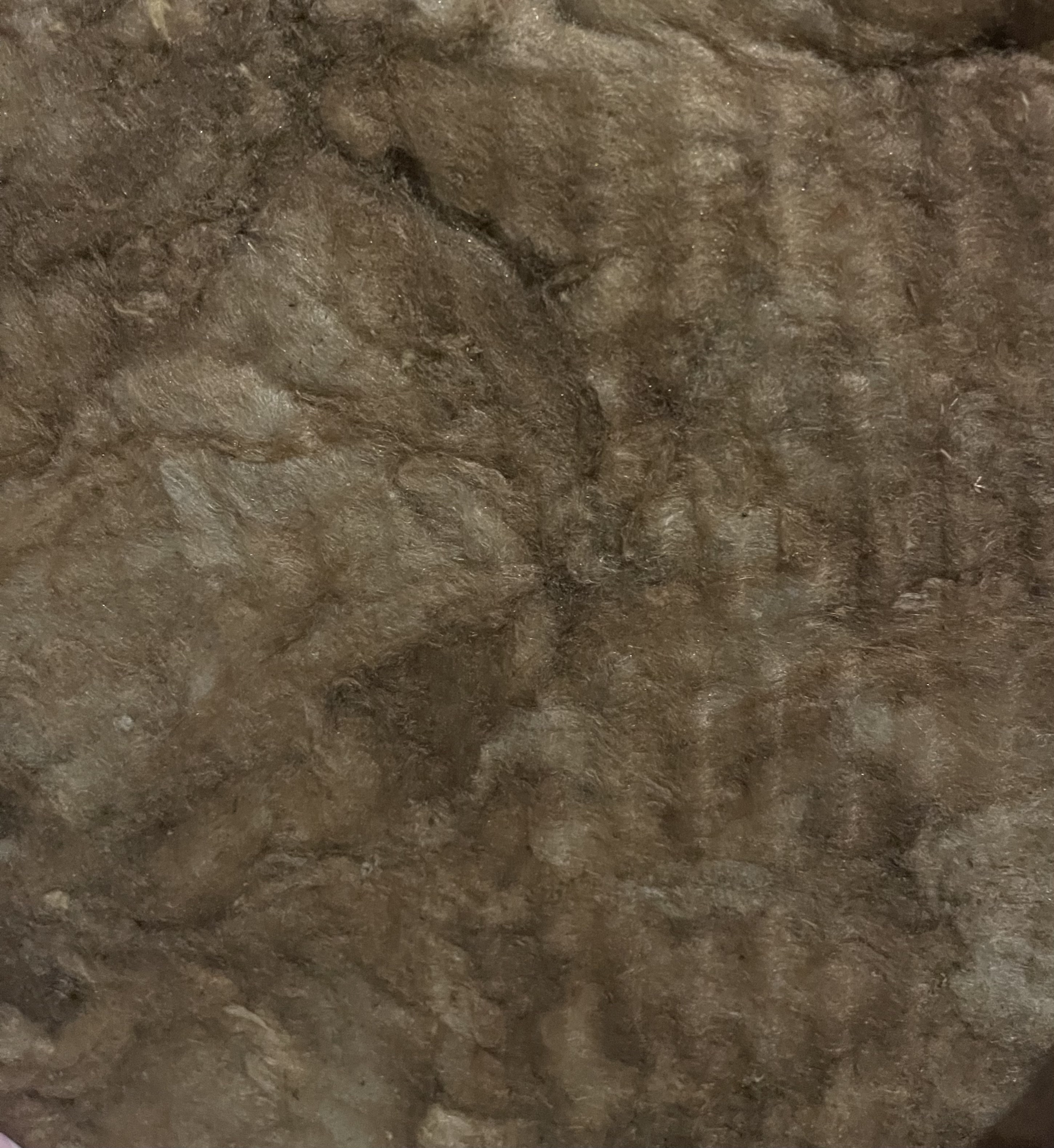 Tela técnica Camira Cara, detalle de trama
