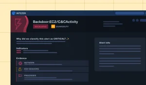 intezer product