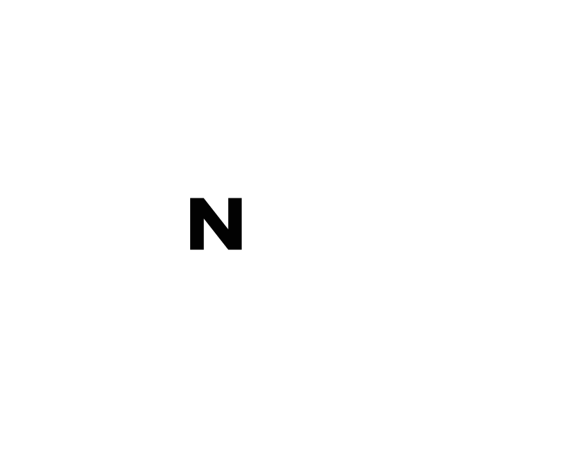 Pack N Stor logo self storage Black letter N on white background.