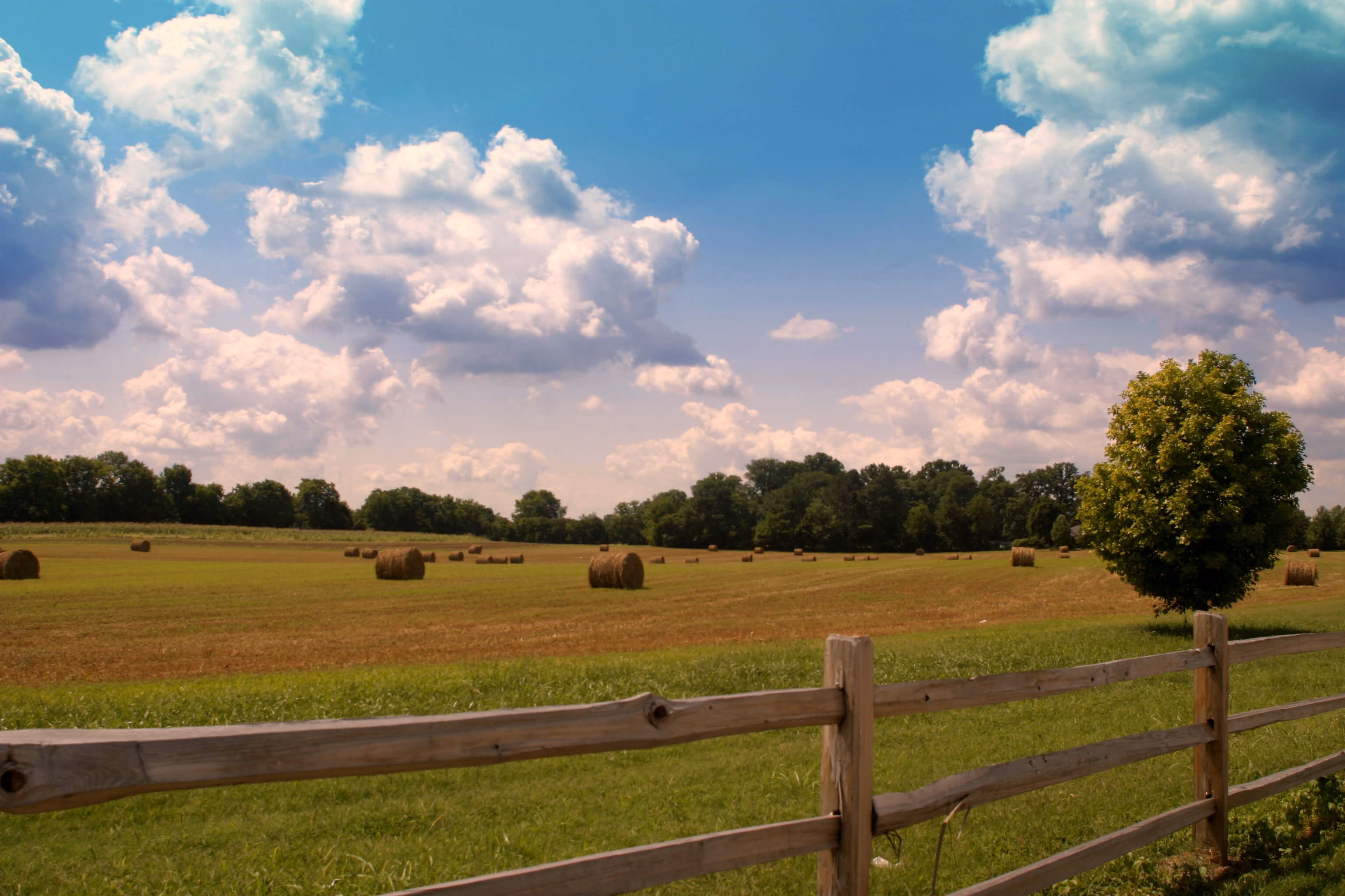 Hayfield at golden hour in Tennessee farm country