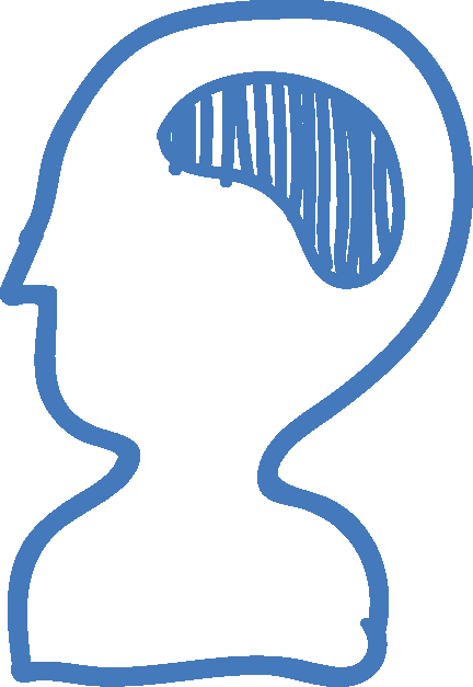 Blue outline of a human head with a shaded brain area inside the skull.