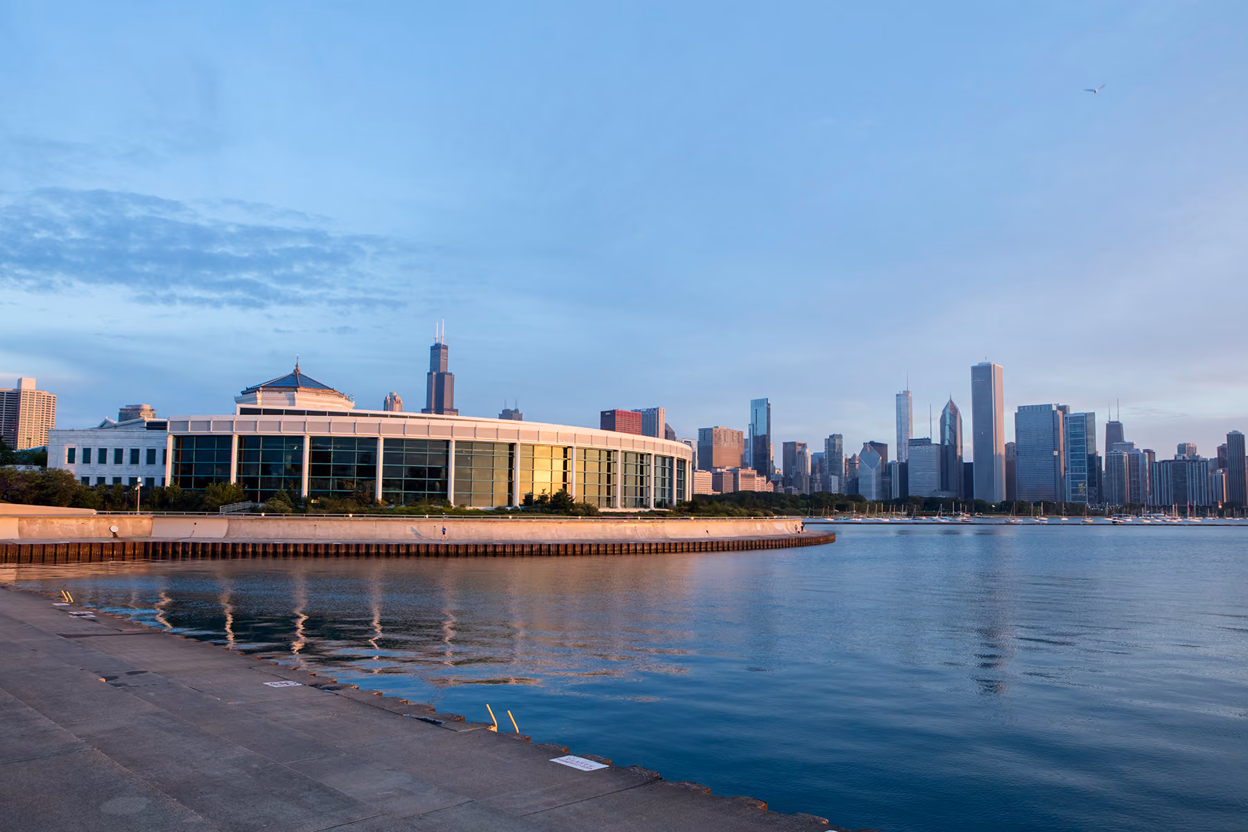 The Chicago skyline from the shores of Lake Michigan