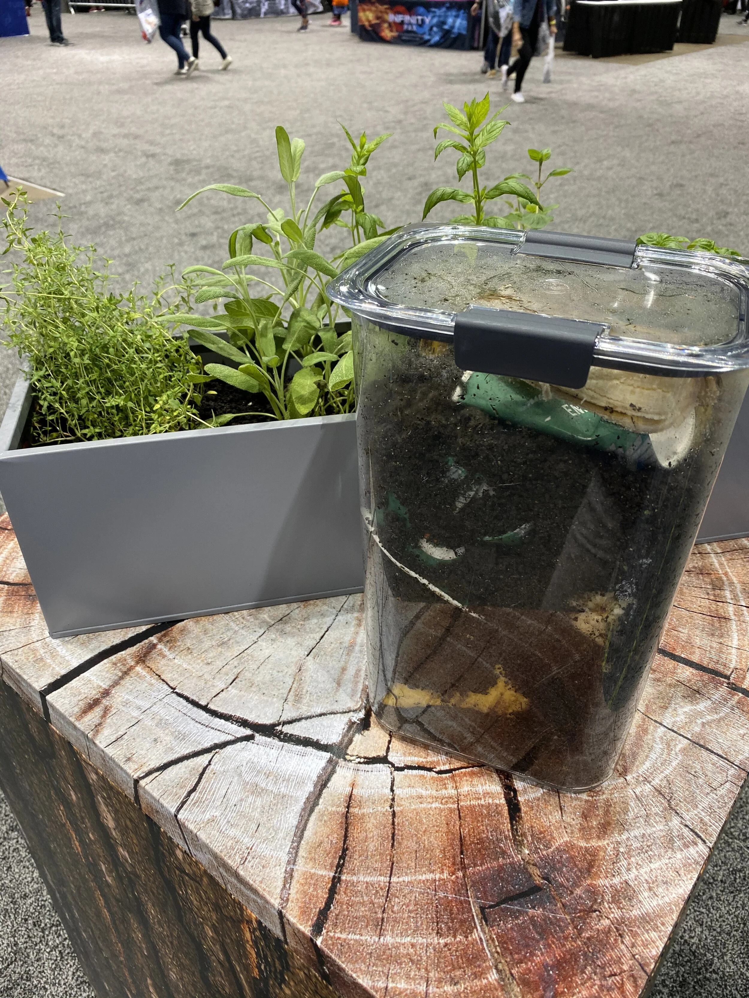 A display shows how the elements and nutrients contained in cups, banana peels and apple cores collected during the Chicago Marathon are turned back into soil via composting. The soil in this display is from organic waste from last year’s marathon.