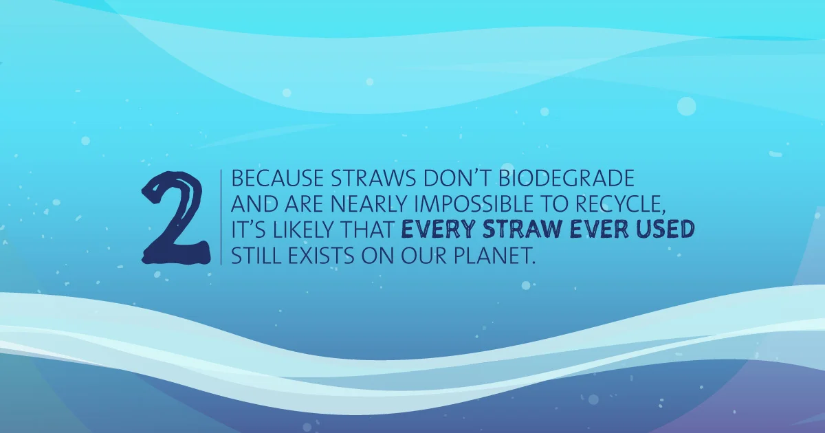 Sheed The Straw banner - Straws don't biodegrade