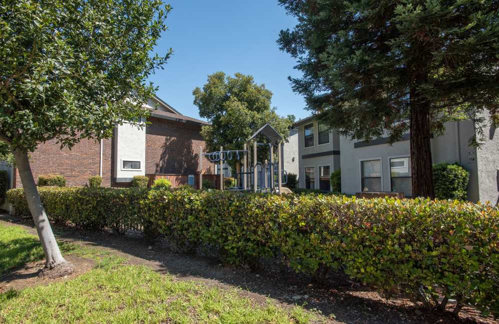 Playground and apartment buildings