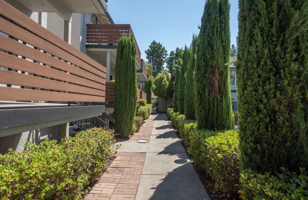 Walkway by buildings