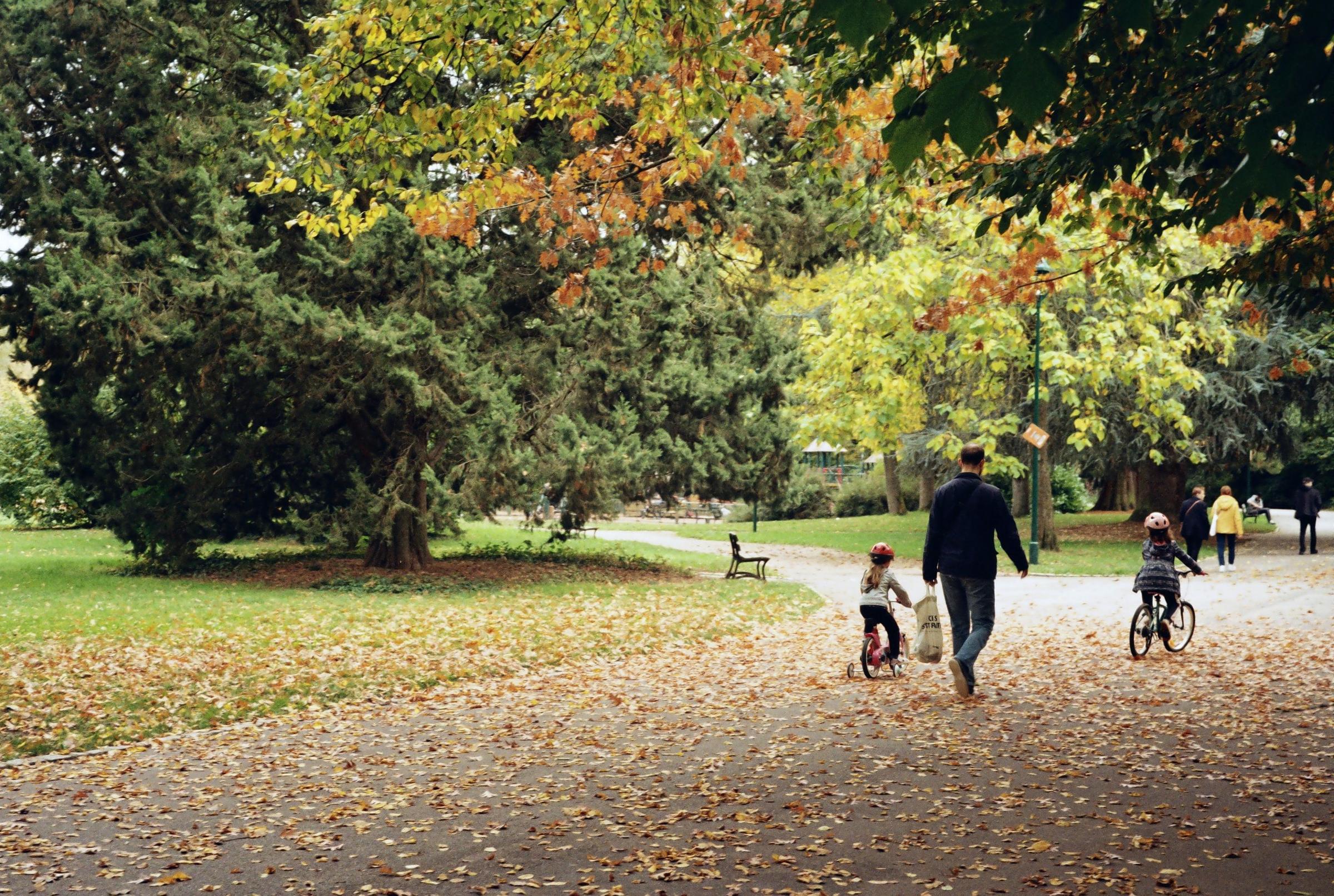A parent and two young children walking through an autumn park