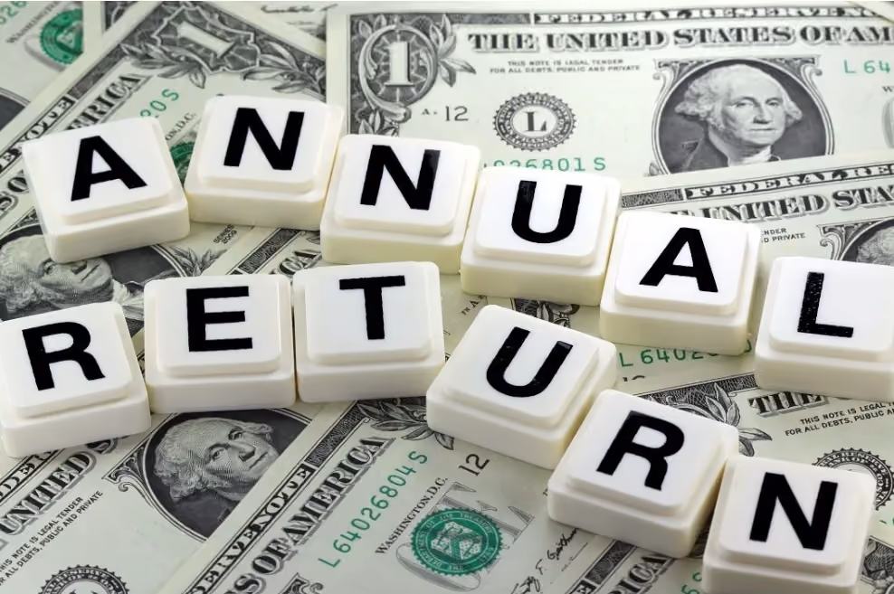 Annual Financial Returns