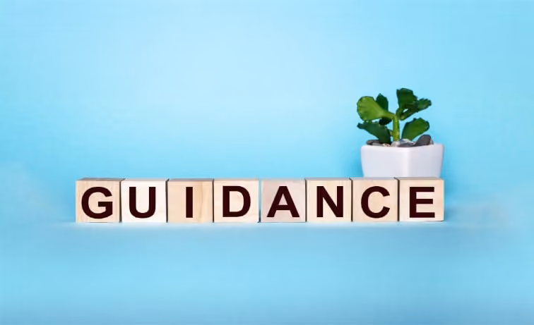 BVI: A Guide to Common Reporting Standard