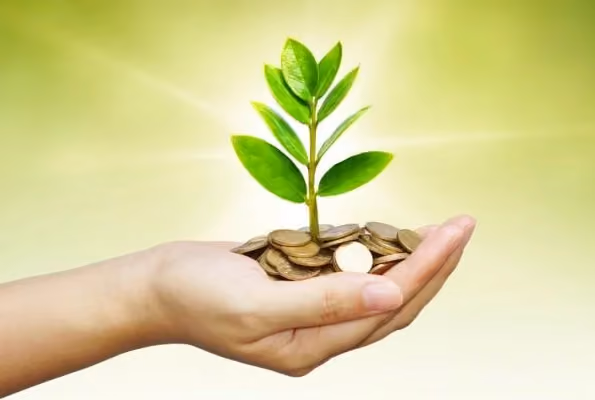 Cayman Economic Substance Annual Return
