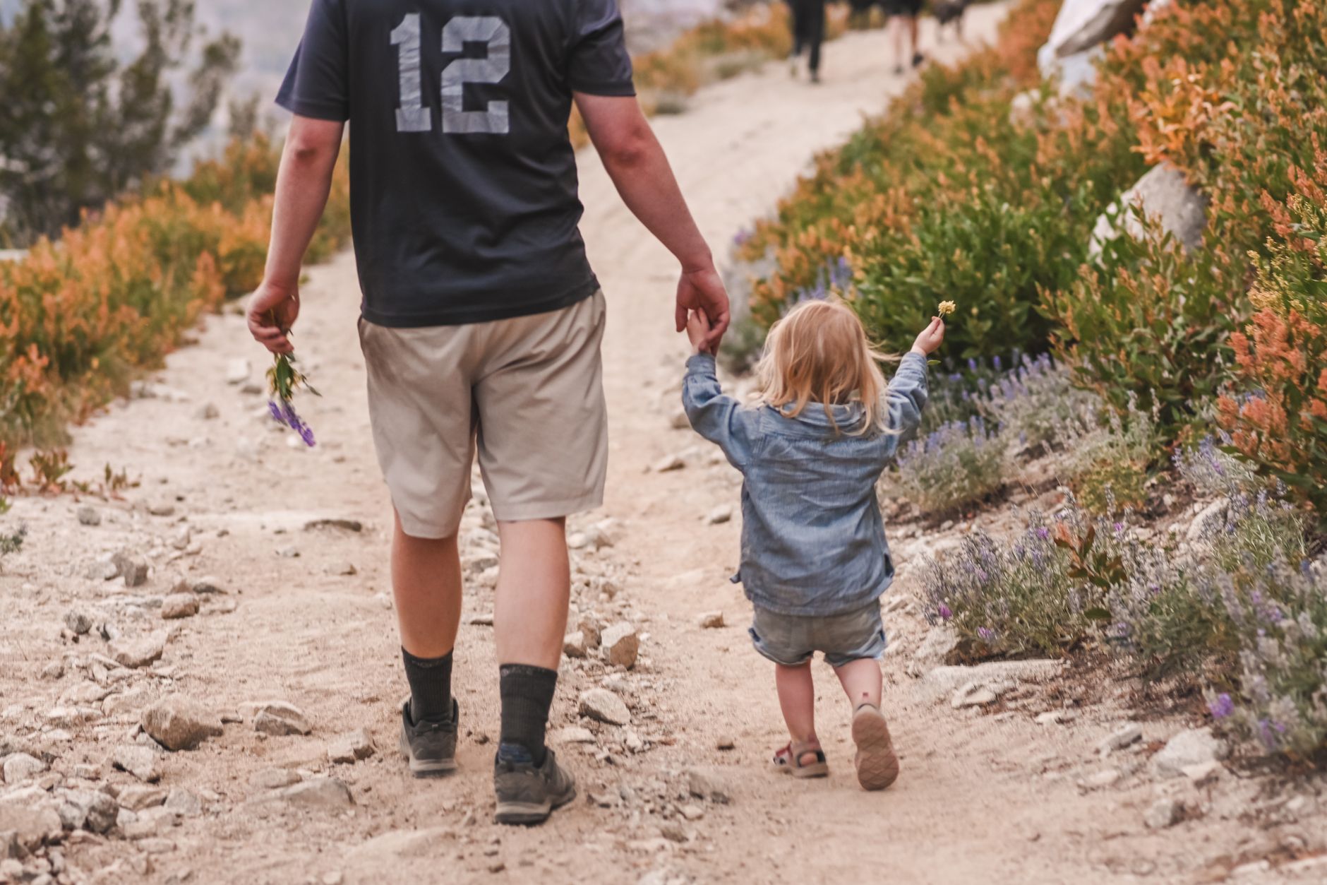 A father and daughter enjoy a scenic hike together on a summer day.