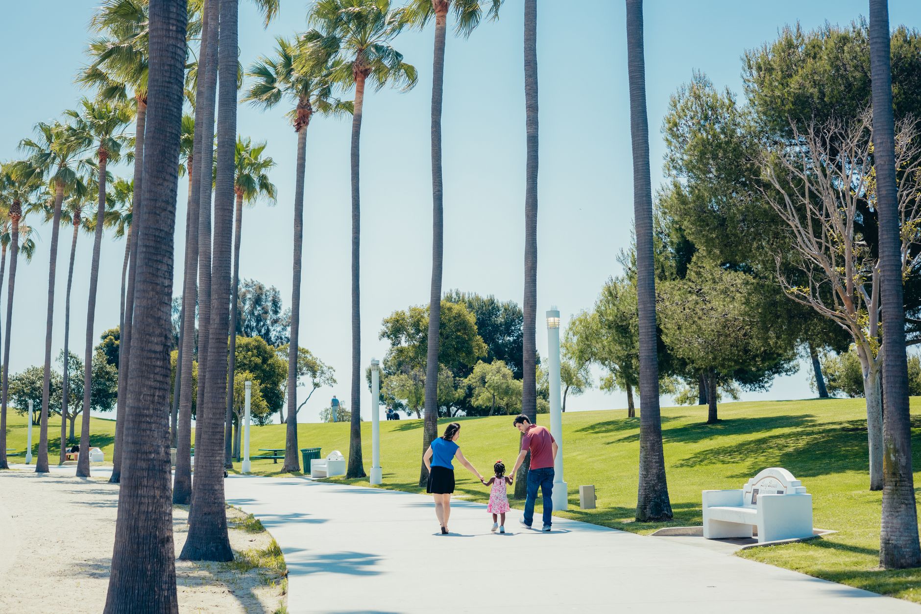 Family walking hand in hand through park with palm trees on a sunny day, enjoying quality time together.