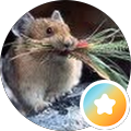 Bartholomew B., Google reviewer of Grid City VR