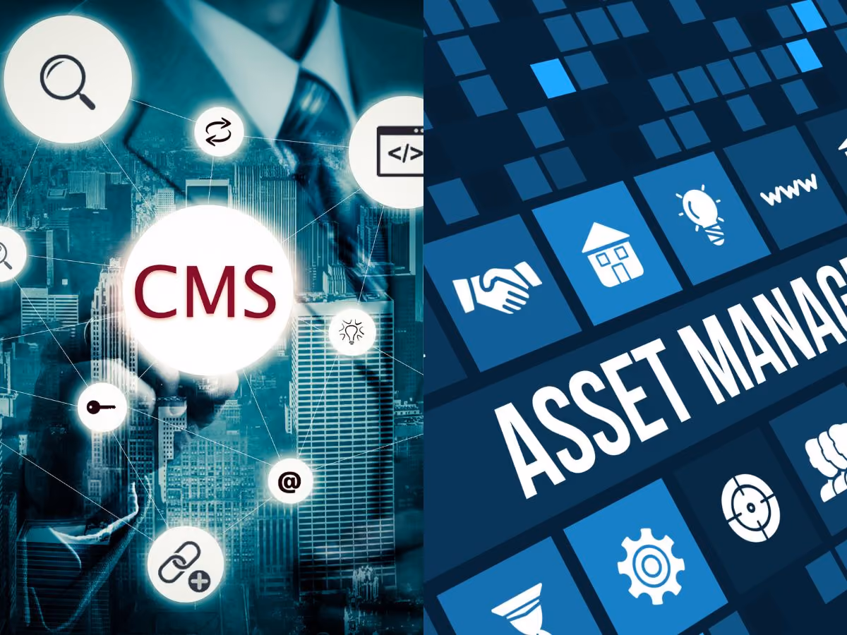 A picture of CMS vs DAM system