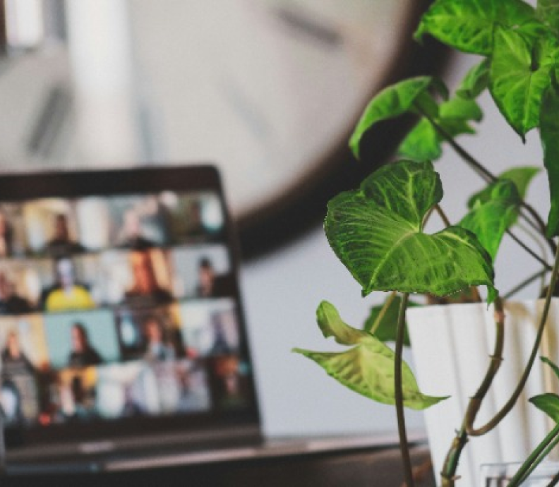A portrait of a plant with a laptop on the background.