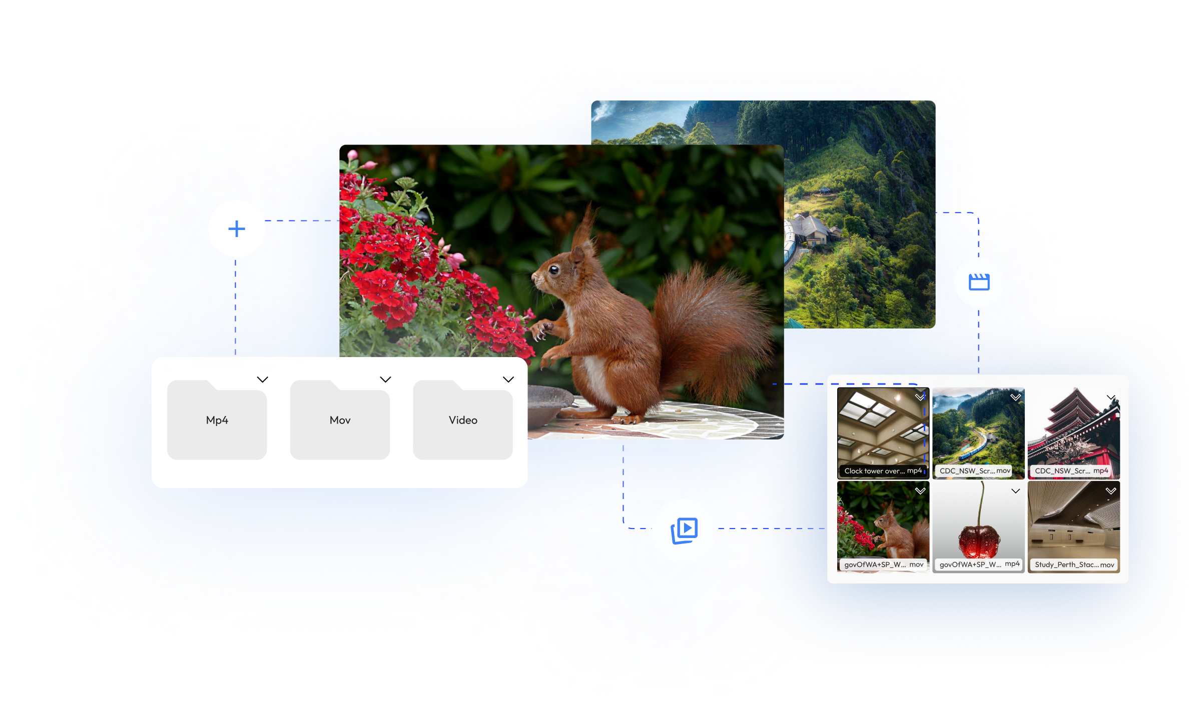 A picture of a squirrel overlayed with another gallery and folder tab. 